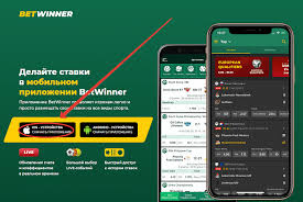 Exploring the Excitement of Casino Online