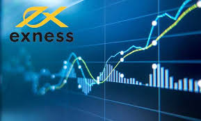 Understanding Exness Forex Brokers Your Path to Trading Success