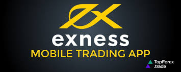 Understanding Exness Forex Brokers Your Path to Trading Success