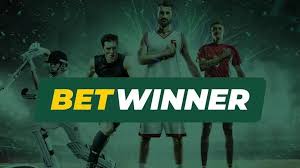 Review of BetWinner Bookmaker Features and Promotions