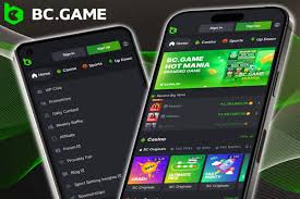 BC Game Indonesia Official Online Your Gateway to Exciting Gaming