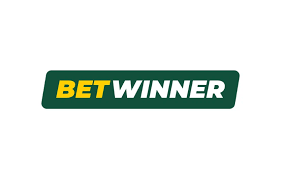 Everything You Need to Know About the BetWinner APK File