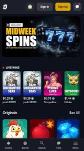 A Beginner's Guide to Crypto Casinos Understanding the Basics