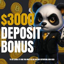A Beginner's Guide to Crypto Casinos Understanding the Basics