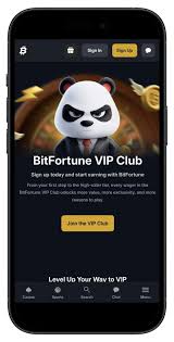 Bitfortune Live Rooms Promoting Responsible Play
