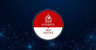 Expert Red Notice Removal Lawyers for Your Defense