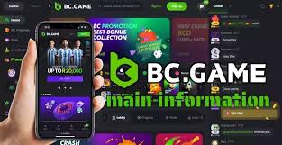 The Comprehensive Guide to BC.Game NG Login Process The Comprehensive Guide to BC.Game NG Login Process